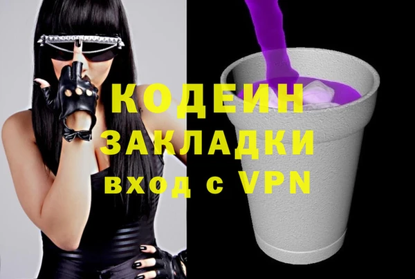 шишки Абаза