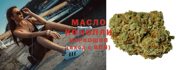 шишки Абаза
