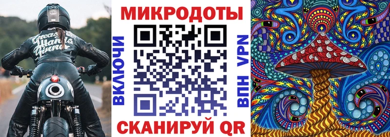мега   продажа наркотиков  Ладушкин  Псилоцибиновые грибы Cubensis 